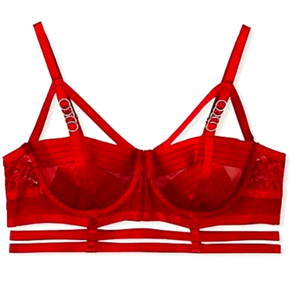 Torrid Cage Bra